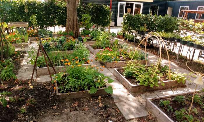 PHOTO-2020-01-16-18-13-57