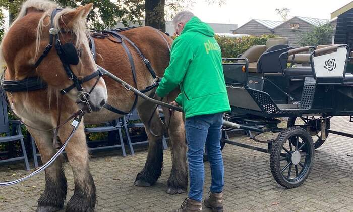 Joy voorgespannen
