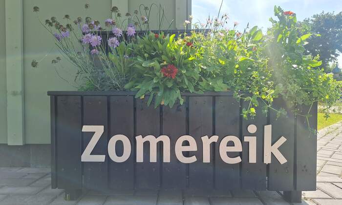 Downdriehoek juni 2025 naam plantenbak