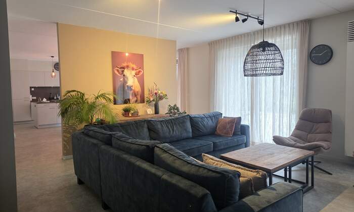 Downdriehoek woonkamer-keuken